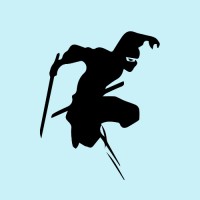 Skill Ninja logo - Similar company to Skill Ninja S.R.O.