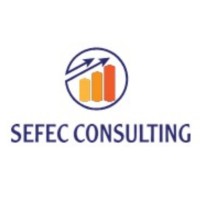 Sefec Consulting