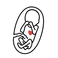SPUC (Society for the Protection of Unborn Children) logo - Similar company to Between Sessions