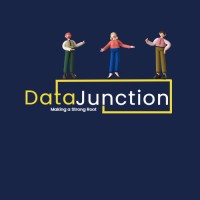 DataJunction logo - Similar company to Pervasive Technologies