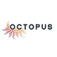 Octopus Informatiebeveiliging