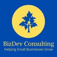 Bizdev Consulting