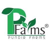 Pundir Enterprises logo - Similar company to Pundir Group