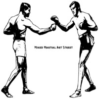 Mixed Martial Art Street Podcast logo - Similar company to Bms Martial Art