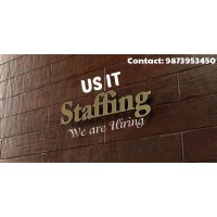 Hiring US Staffing Professionals logo - Similar company to Simba Staffing Pvt Ltd