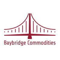 Baybridge Commodities Inc logo - Similar company to Predicthium Sas