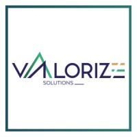 Valorize Solutions logo - Similar company to Valorize Digital