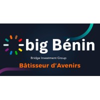big Bénin (Bridge Investment Group) logo - Similar company to 𝗚.𝗡.𝗔 𝗖𝗢𝗡𝗦𝗘𝗜𝗟𝗦