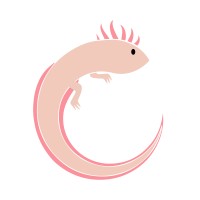 Sapphire Development logo - Similar company to Thincode
