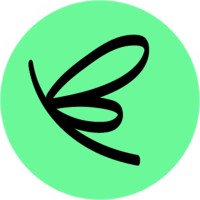 Dragonfly Connects logo - Similar company to Dragonfly