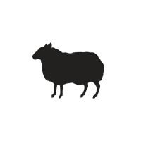 BBH USA logo - Similar company to The Workshop