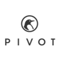 Pivot logo - Similar company to Learn It
