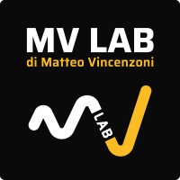 MV Lab logo - Similar company to De Masi Srl