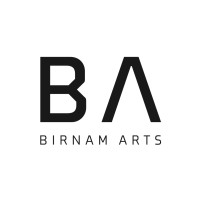Birnam Arts logo - Similar company to Futureversity