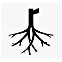 Root IT Consulting Services logo - Similar company to Document Imaging Partners