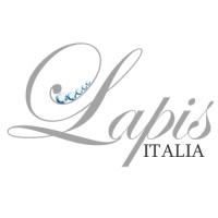 Lapis Italia S.r.l. logo - Similar company to Voltmi