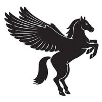 Pegasus For Marketing Services Company logo - Similar company to Payway