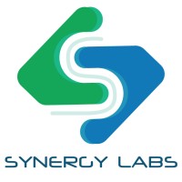 Synergy Labs logo - Similar company to Web Globe India