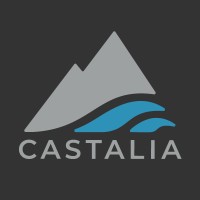 Castalia Communications Corp. logo - Similar company to Mexicanal