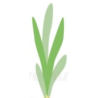 GrowthStories logo - Similar company to Sagex Tech Llc
