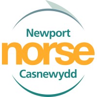 Newport Norse logo - Similar company to Smb Creative