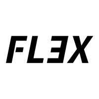 FLEX logo - Similar company to Aastrix Gmbh