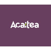 Acaitea logo - Similar company to Pion333Rs