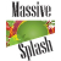 Massive Splash logo - Similar company to Wild Terra