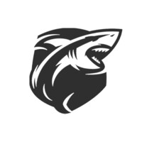 Estúdio Shark
