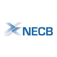 NECB sal (SARADAR Group) logo - Similar company to Rb Tech
