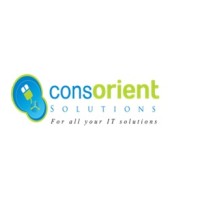 CONSORIENT SOLUTIONS logo - Similar company to Optinet Africa