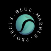 Blue Marble Projects logo - Similar company to Bluemarble Projects