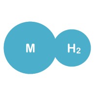 Micro Hydrogen Inc logo - Similar company to Everyday Org
