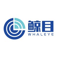 Shanghai Whaleye Technology logo - Similar company to 4G Body Camera