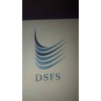 DS Financial Services logo - Similar company to Ds Financial