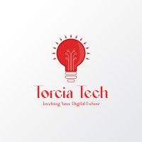 Torcia Tech logo - Similar company to Dv360 Dynamics