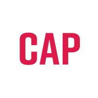 capconnect GmbH logo - Similar company to Riverbird Gmbh