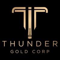 Thunder Gold Corp. logo - Similar company to Vr Resources Ltd.