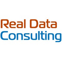 Real Data Consulting Llc