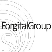 Forgital Group logo - Similar company to Repinco