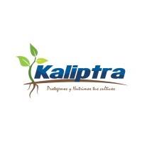 Kaliptra Perú logo - Similar company to Point Americas