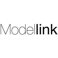 Modellink logo - Similar company to Adamello Ab
