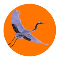 Centre for Greater East Asia Geopolitical & Strategic Research Forum - CGEAGSRF logo - Similar company to Envoy Security & Protection Services