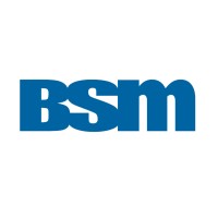 BSM Engenharia logo - Similar company to Willift -  Engenharia De Içamentos