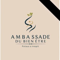 AMBASSADE DU BIEN ETRE logo - Similar company to Ph Secrets Llc