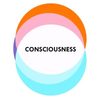 Consciousness logo - Similar company to Halffull Studios