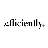 .efficiently logo - Similar company to Argyle India