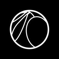 Black Olive Construction Ltd logo - Similar company to Harrity Building And Construction