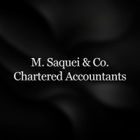 M. Saquei & Co. Chartered Accountants logo - Similar company to Zts Technologies