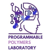 Programmable Polymers Research Group logo - Similar company to Erasmus Data Collaboratory